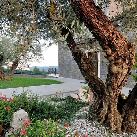 Luxury Maslina With Private Pool & Jacuzzi